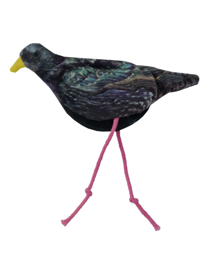 Wild Life Cat Starling (Spreeuw)
