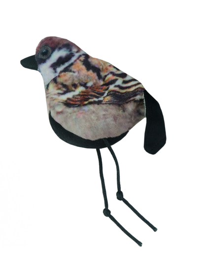 Wild Life Cat Sparrow (Mus)