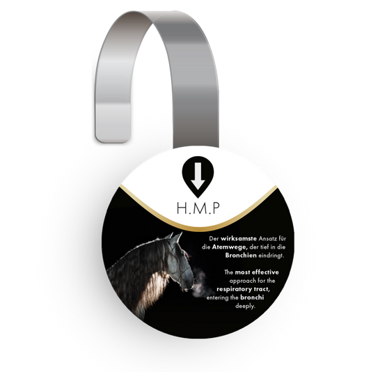 Wobbler HMP Horse
