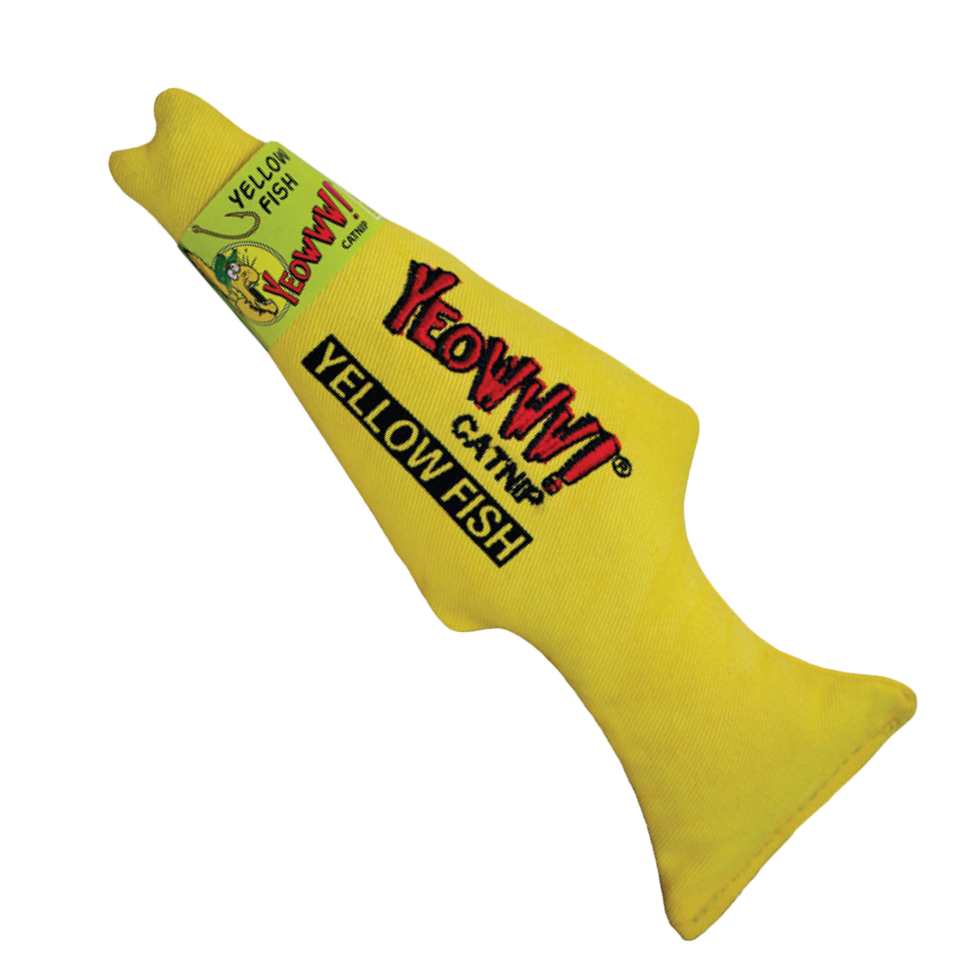 Yeowww! Yellow Fish