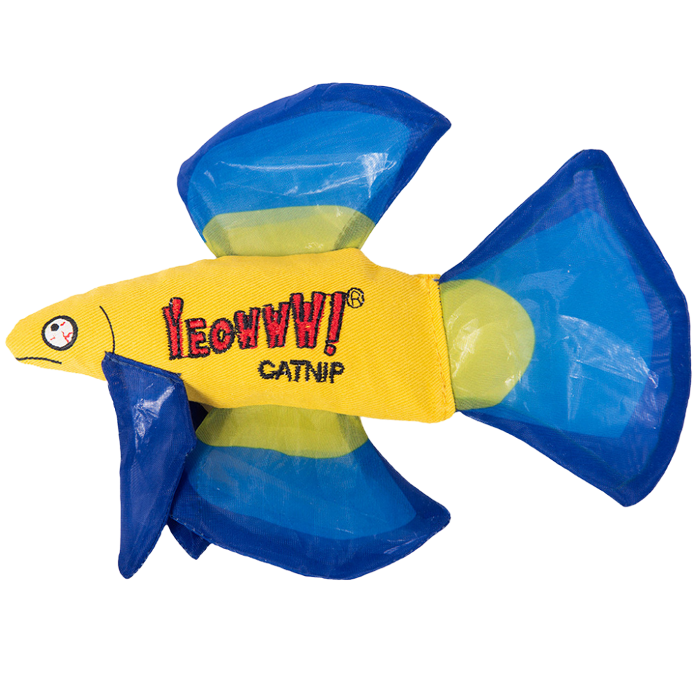 Yeowww! Mo Betta Fish Blue