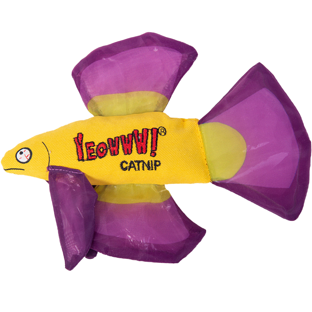 Yeowww! Mo Betta Fish Purple