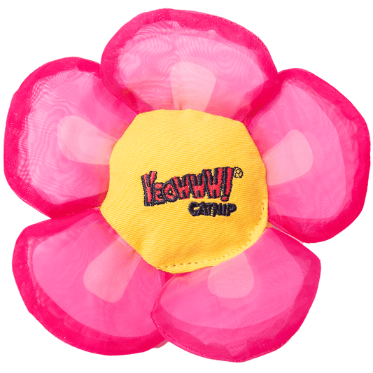 Yeowww Daisey&#039;s Flower Top Pink