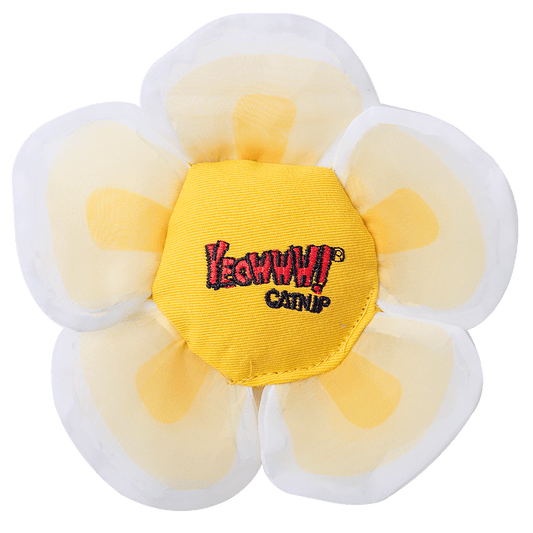 Yeowww! Daisy's Flower Tops White