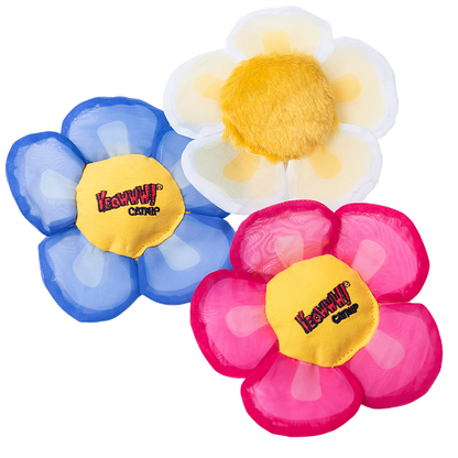 Yeowww! Display Strip Daisy's Flower Top 12 st.
