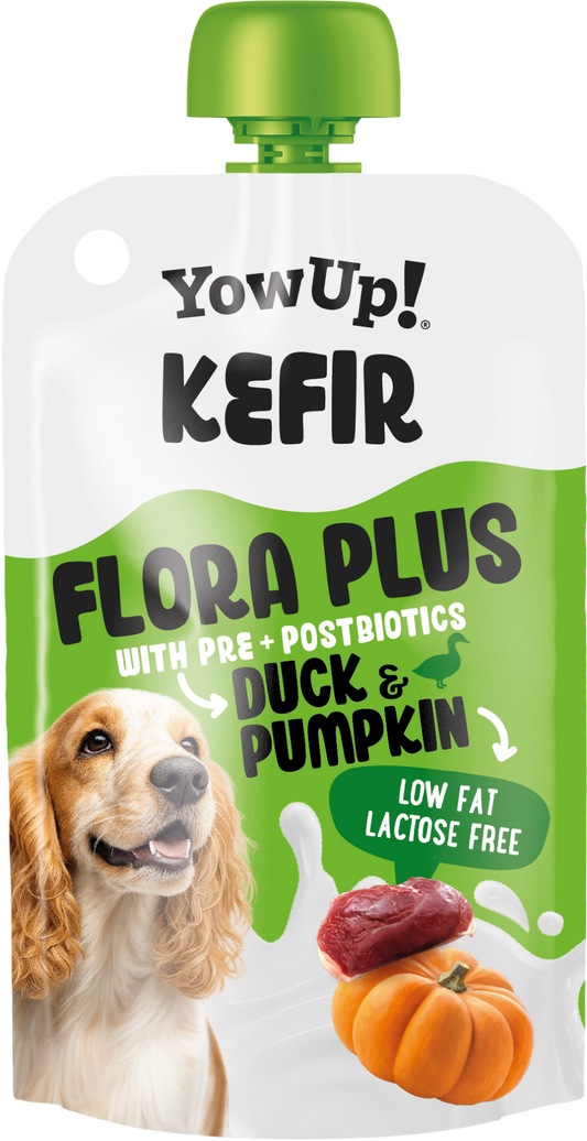 Yowup! Kefir Eend & Pompoen (hond)