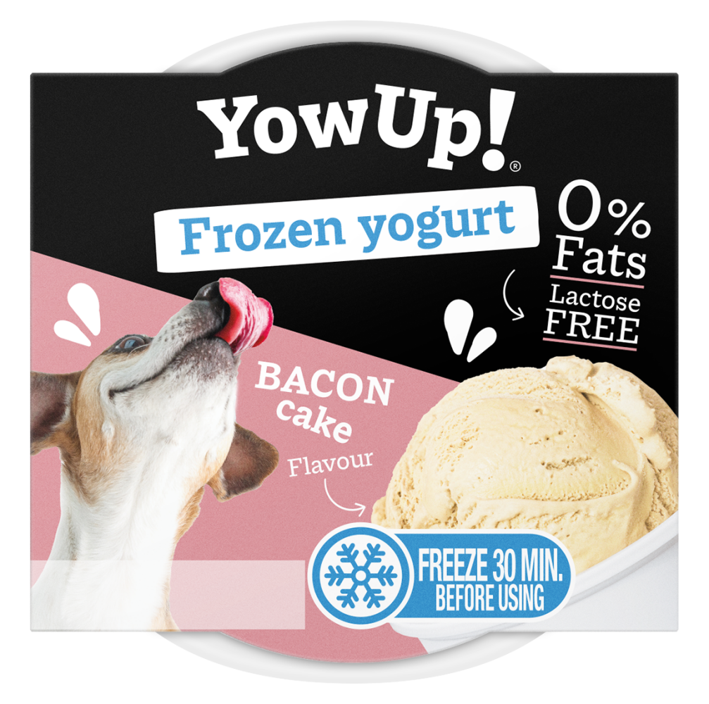 YowUp! Frozen Yoghurt Bacon Cake
