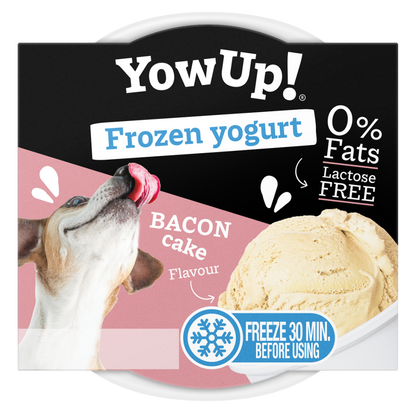 YowUp! Frozen Yoghurt Bacon Cake