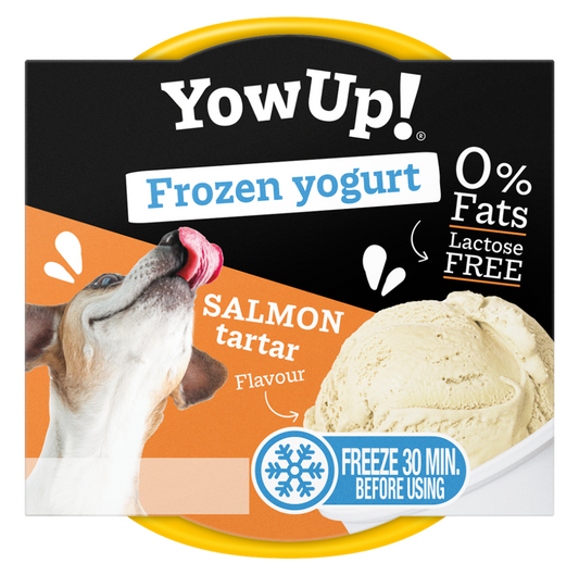 YowUp Ice Cream Yogurt SALMON TARTAR 110g