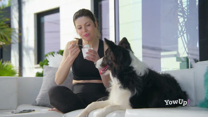 YowUp! Frozen Yoghurt Hot dog met Kaas