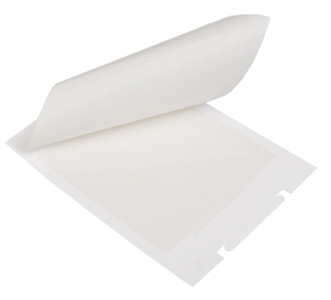 Zapi Zap Trap lijmval voor muizen en insecten 15x21cm