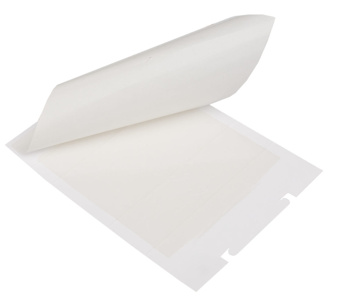 Zapi Zap Trap Glue for mice&amp;insects 15x21cm