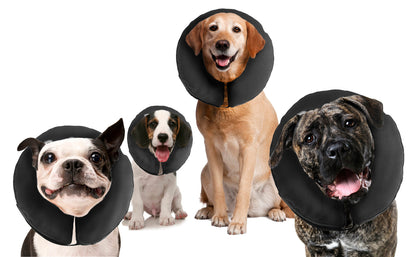 Zenpet ProCollar S