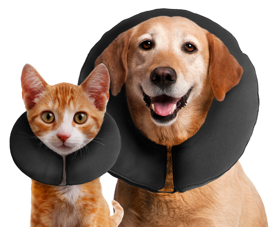 Zenpet ProCollar M
