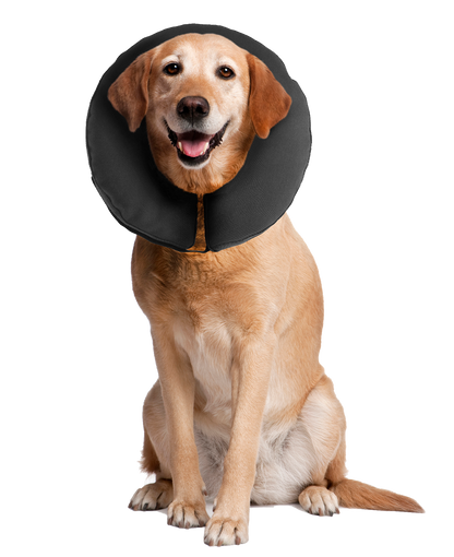 Zenpet ProCollar Hondenkraag M