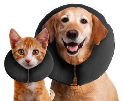 Zenpet ProCollar L