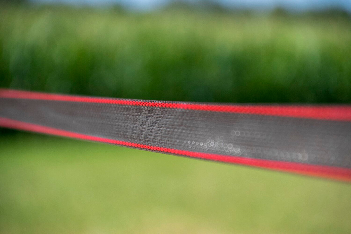 ZoneGuard 40 mm Plus afrasteringslint bruin 200 m