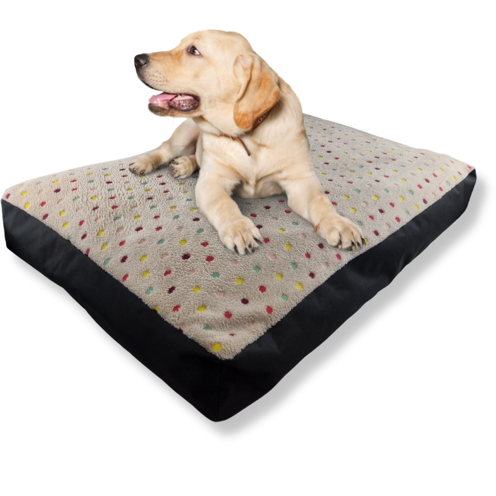 Topmast Hondenkussen Colorful Dots - zachte vulling - 100 X 70 X 10 CM