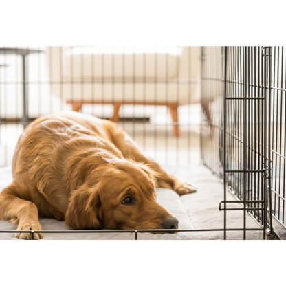 Topmast Bench Zwart - Met PVC Lade | 61 x 42 x 49 CM - Kleine honden tot ca. 12 kilo