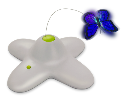 AFP Interactive Flutterbug