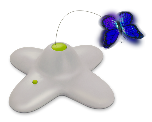 AFP Interactive Flutterbug