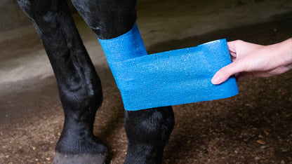 Bandage Animal Blauw Glitter Profi 10 cm