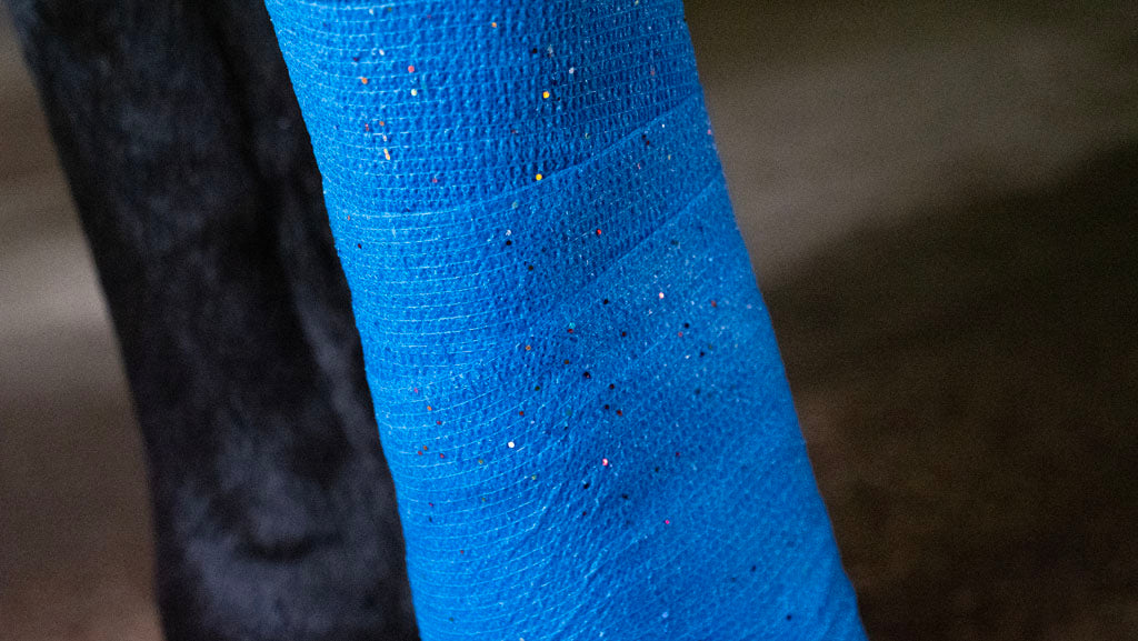 Bandage Animal Blauw Glitter Profi 10 cm