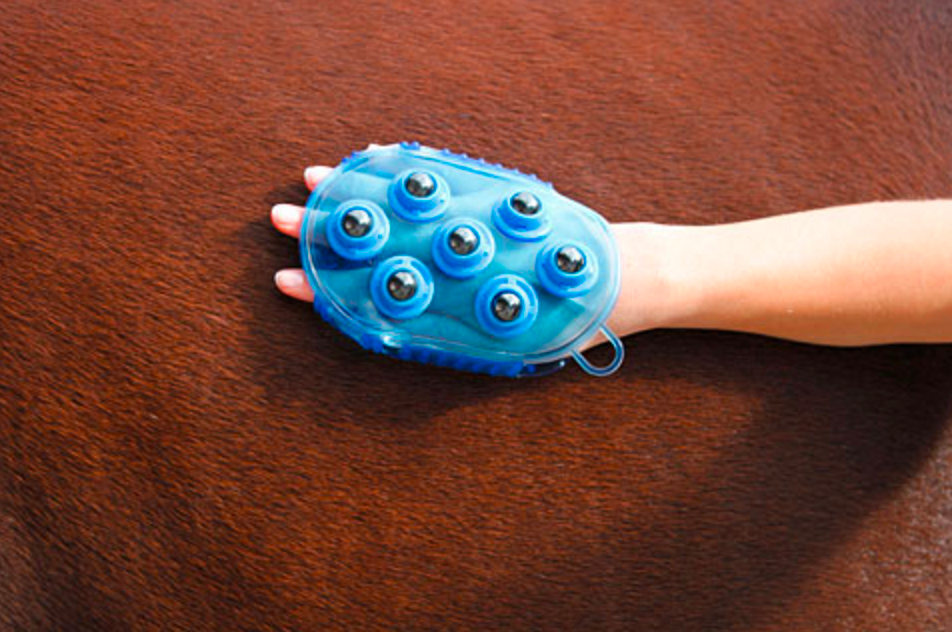 Borstel magneet massage blauw