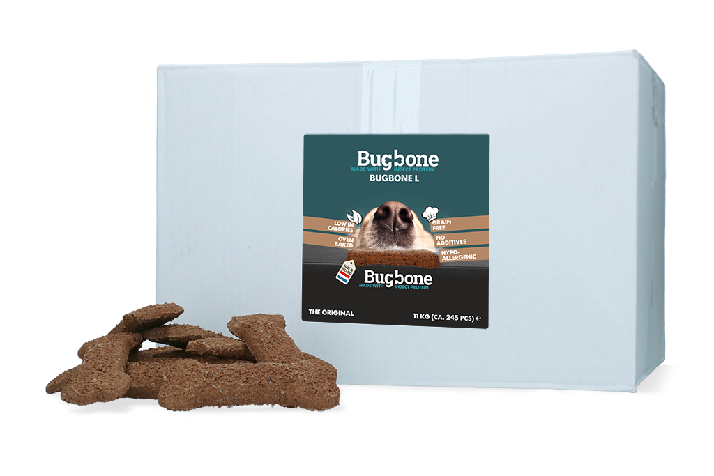 Bugbone Large ca. 245 st