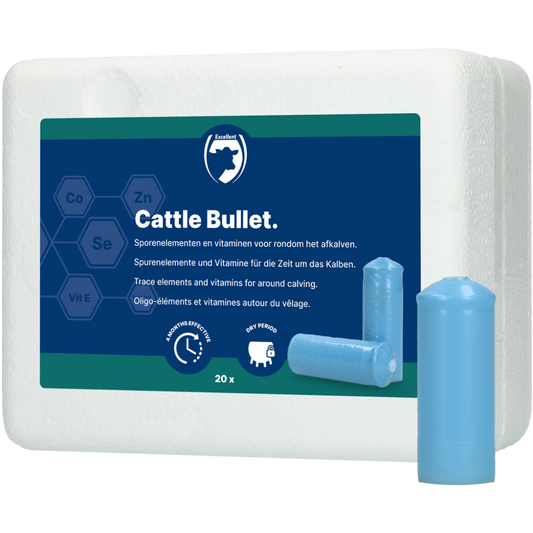 Cattle Bullet