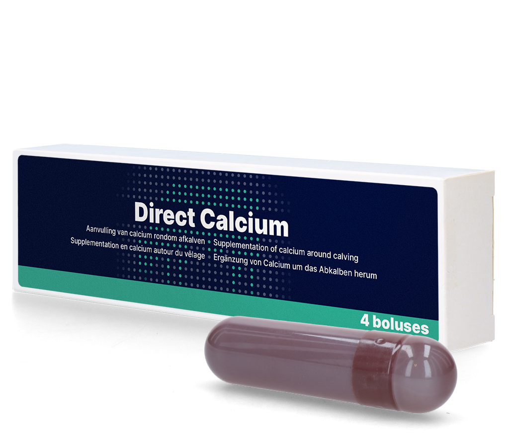 Direct Calcium Bolus