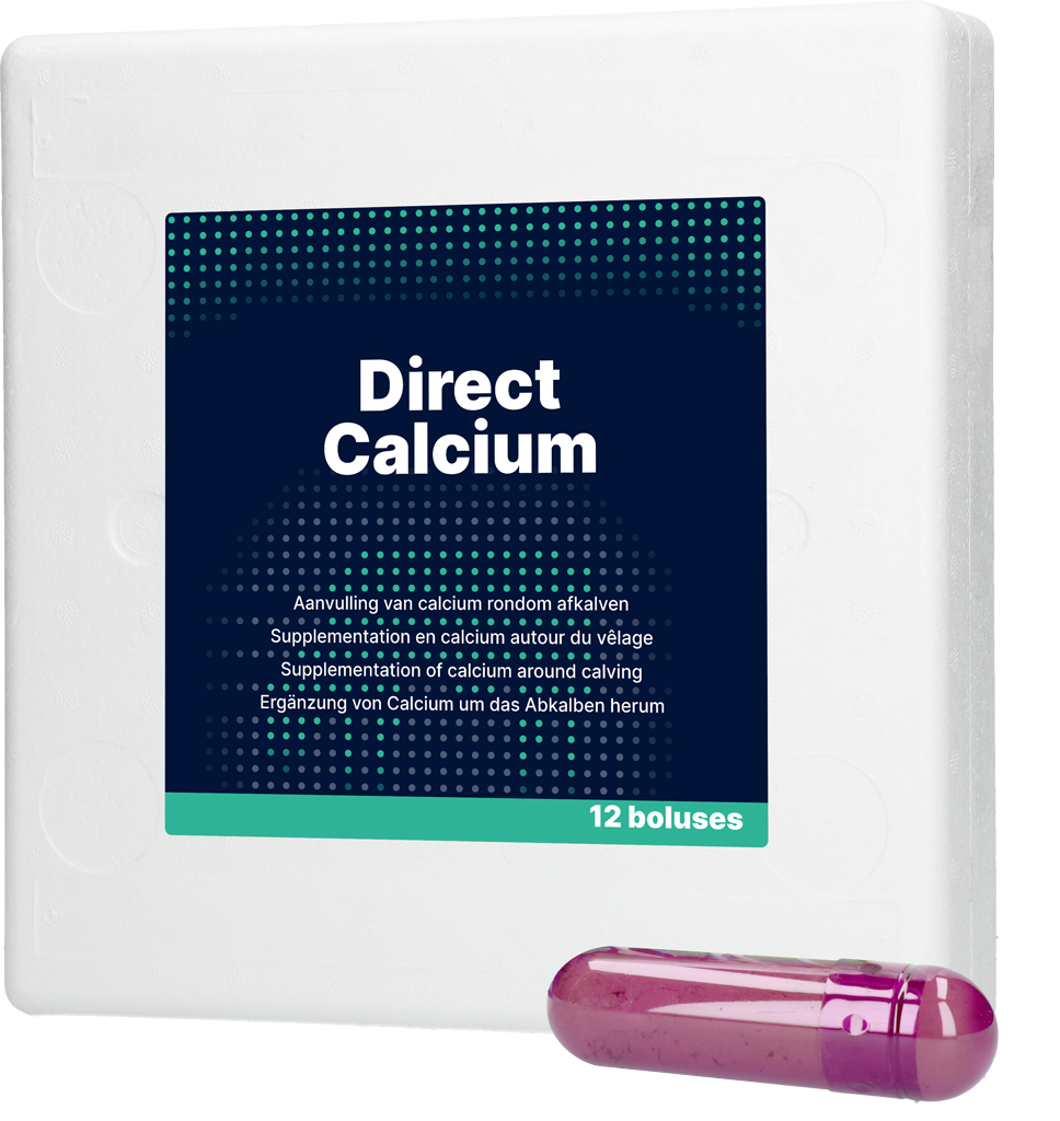 Direct Calcium Bolus