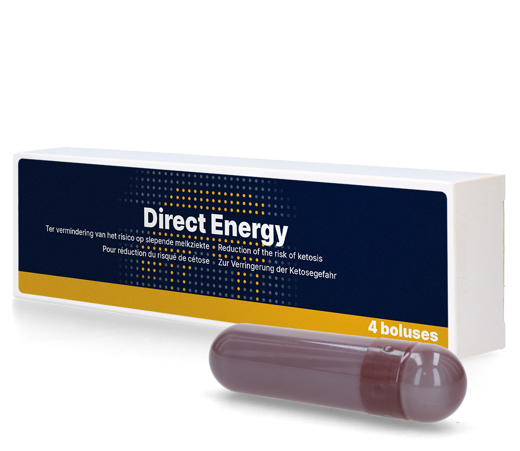 Direct Energie Bolus