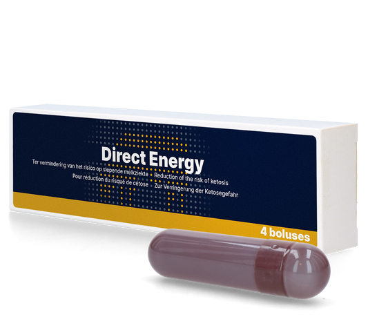 Direct Energie Bolus