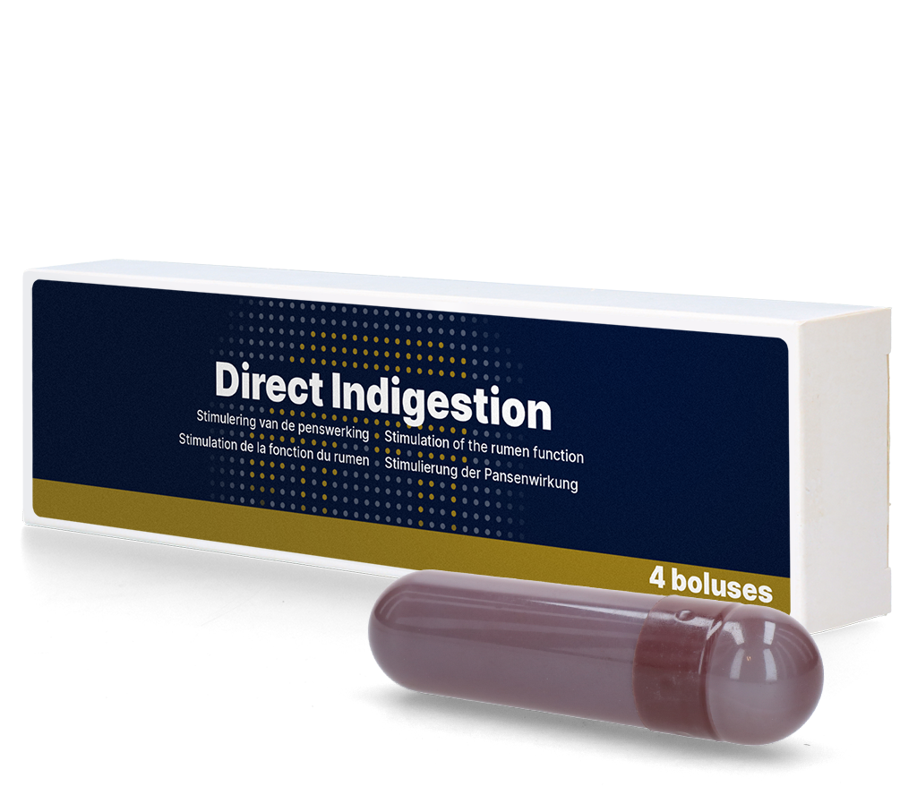 Direct Indigestie Bolus