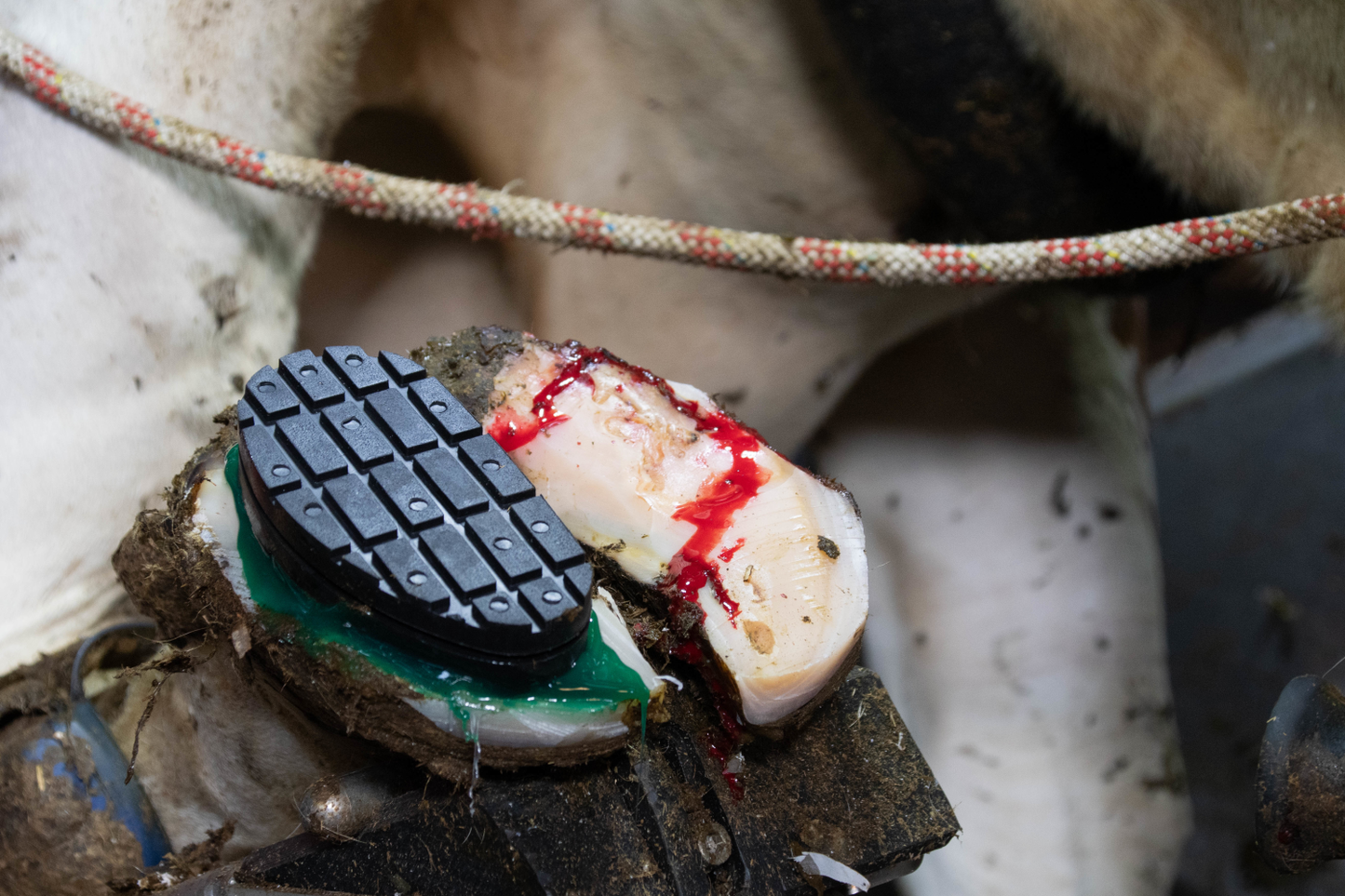 Easy Hoof Block PVC plastic &quot;comfort&quot;