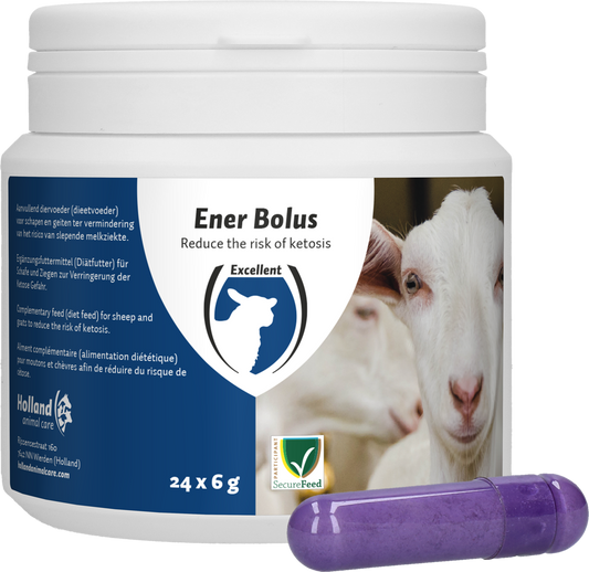 Ener Bolus Schaap &amp; Geit