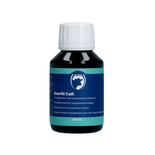 Enerfit Kalf / Big