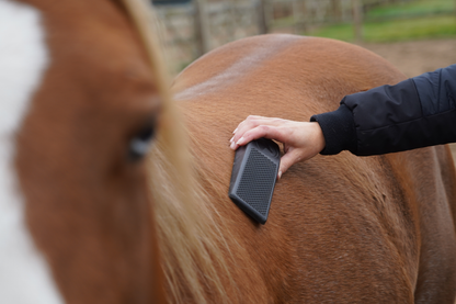 Package deal Excellent Grooming Brush
