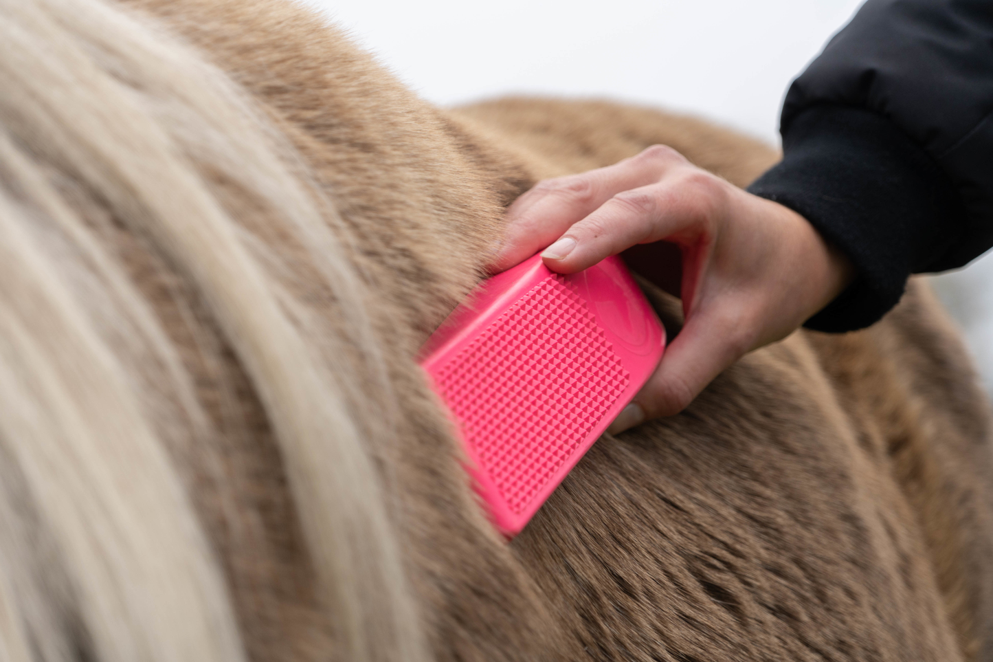 Package deal Excellent Grooming Brush