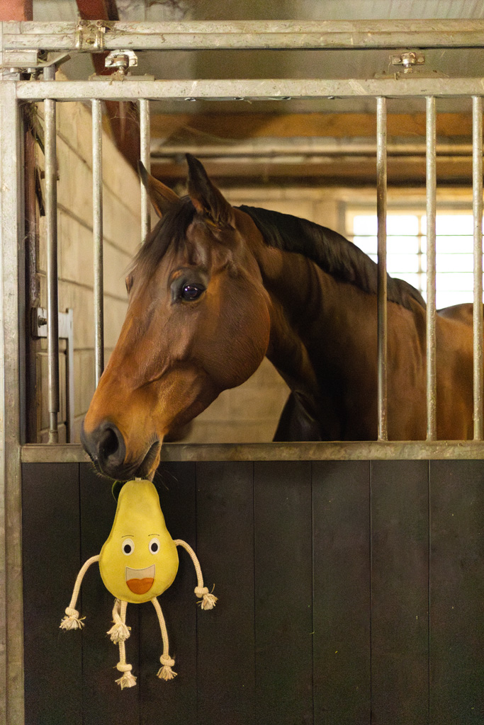 Excellent Horse Foodie Friends Apple