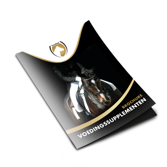 Brochure Excellent Horse Supplementen 2023