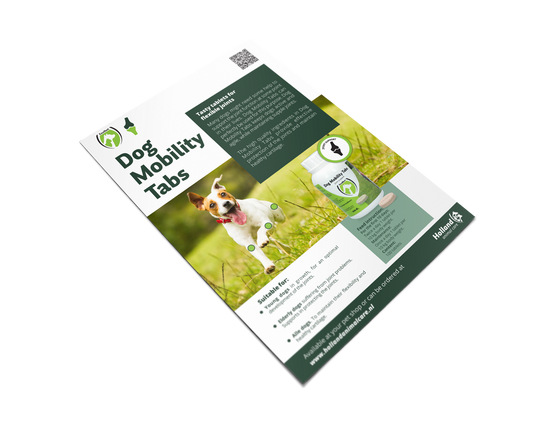 Folder Reno S / Dog mobility Holland EN