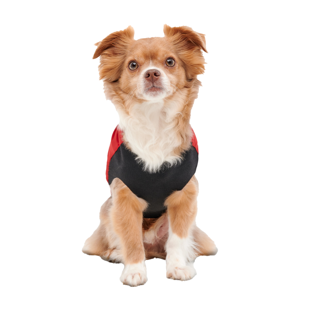 Gooeez Mock Neck Signature Jacket 2XS Red/Black