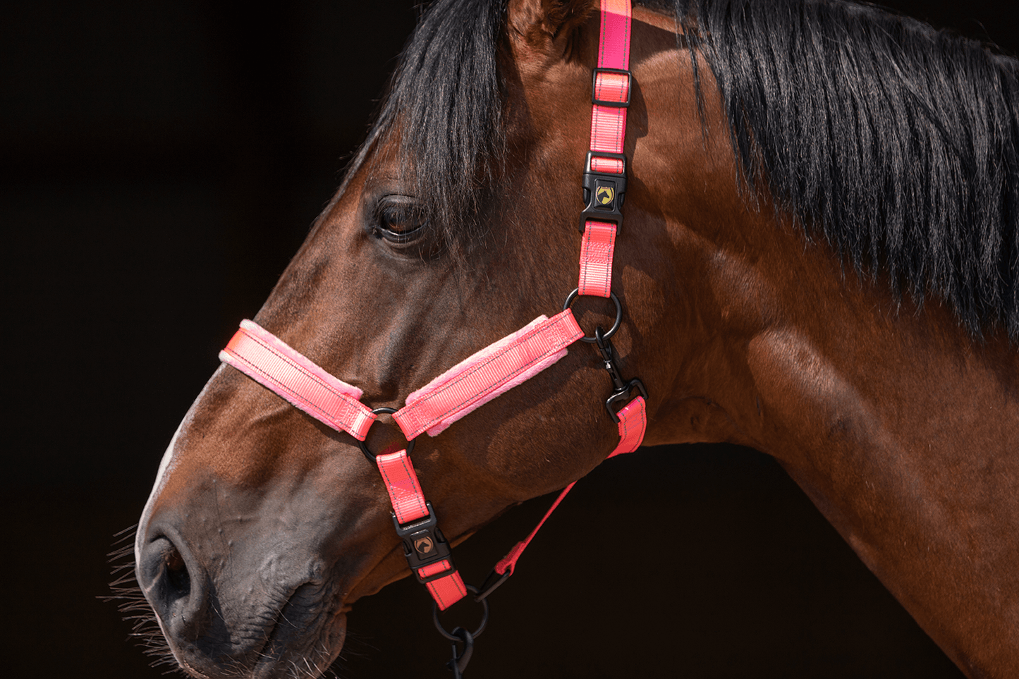 Excellent Horse Superior Halster XS Mini Foal Roze