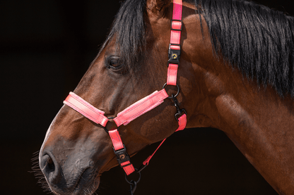 Excellent Horse Superior Halster XS Mini Foal Roze