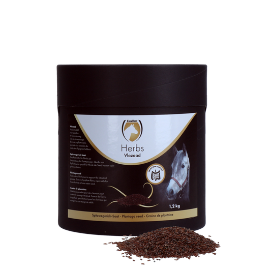 Excellent Herbs Vlozaad (Psylliumzaad)