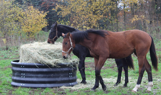 Hay Ring Feeder Ø 124/128 cm