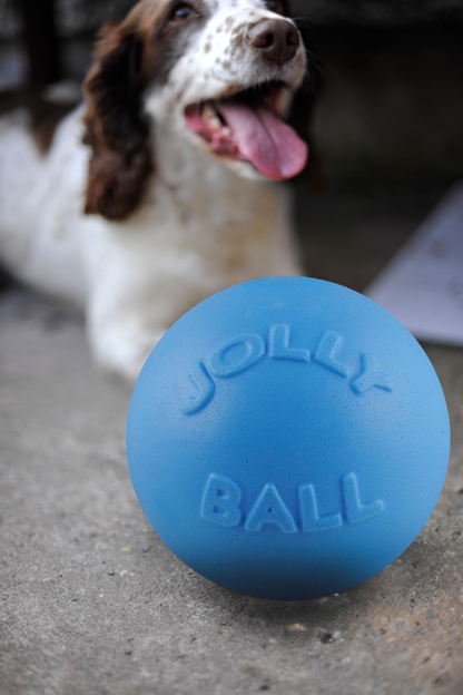Jolly Ball Bounce-n Play 20cm Baby Blauw (Bosbessengeur)