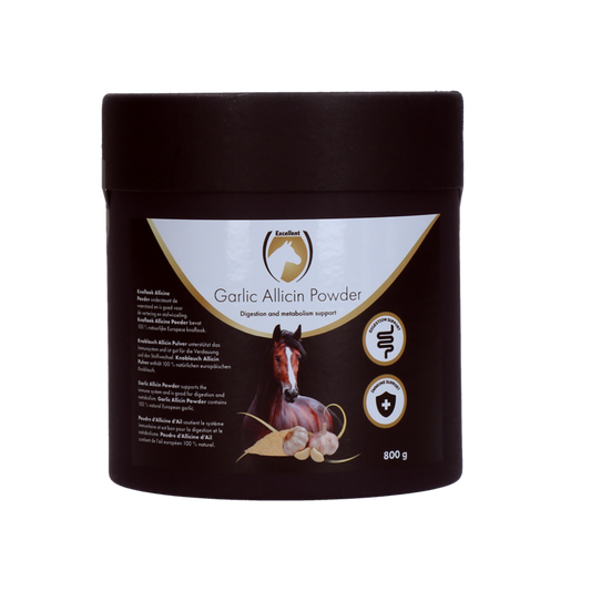 Garlic Allicin Powder EU (Knoflook poeder)